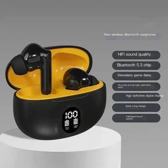 3.1 Special Edition Display Earbuds
